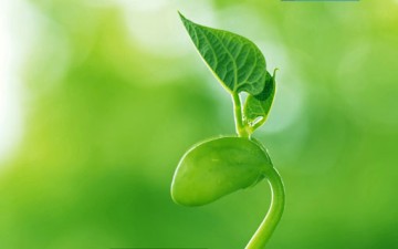 الإسلام محور عملية التغيير