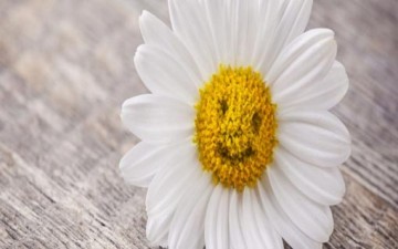 سر السعادة.. الابتسامة