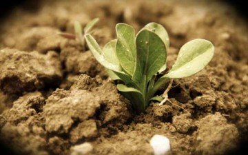 ثمار التوبة.. المغفرة والرحمة