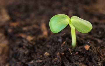 آثار الإخلاص