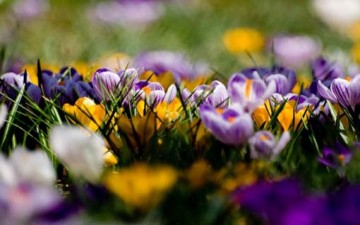 أخلاق الإيمان في شهر رمضان