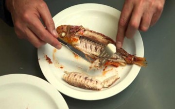 أتيكيت تناول السمك