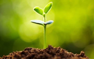 مبادئ وقيم سلوكية.. خذوا بأحسنها