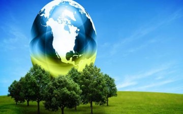 الوطن أم المواطن...؟