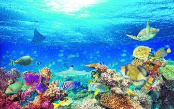 فوائد البحر في علم النفس