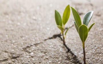 واجه المآزق.. بكثير من الأمل