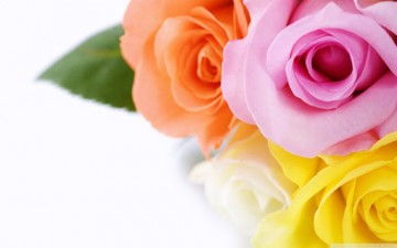 كي يحبك الناس