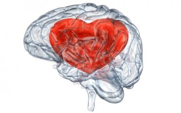 لا تحكم على الناس بالعاطفة