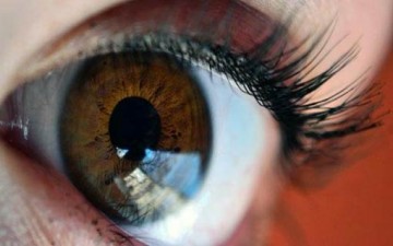 العين الجميلة المكتملة العناصر... بصيرة