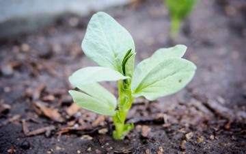 الاستقامة وإصلاح النفس وتزكيتها