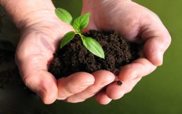 من أخلاقنا الاجتماعية