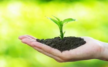 مظاهر النمو في فترة المراهقة