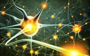 إجهاد الدماغ وأثره في الصحة