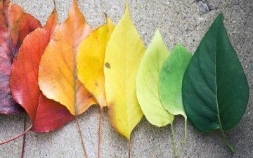 طباعك قابلة للتغيير