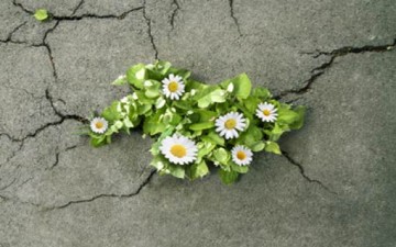 ماذا عندما يختفي الحوار؟