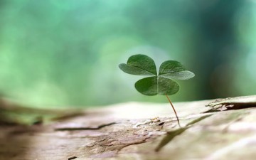 التقوى معيار التفاضل