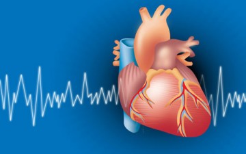 أمراض القلب في سؤال وجواب