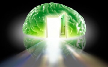 توسّع دائرة التفكير