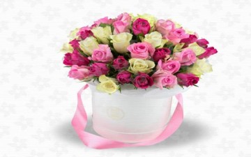 آداب الإتيكيت في مجتمعاتنا العربية