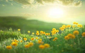 الأمل بالرحمة الإلهية