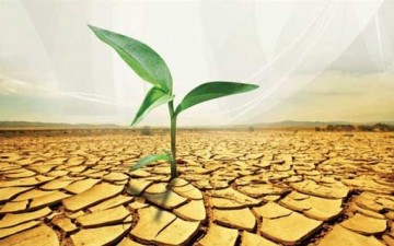 الفقر الروحي والفكري