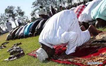 المقصد التربوي للصلاة في الجانب العقلي