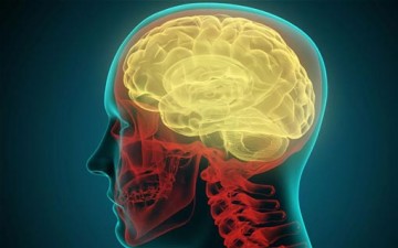 الوظيفة البيولوجية للعواطف