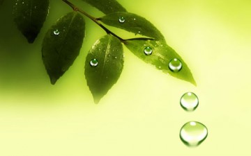 الصدق.. طهارة للذات