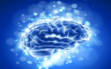 التربية الإيمانية في مسألة الحرية الفكرية