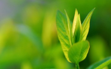 كيف نكتسب التقوى؟