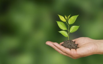 ثواب العمل الصالح في الشهر الفضيل