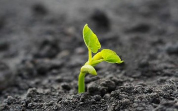 تزكية النفوس وتهذيبها