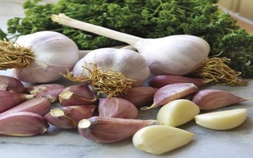 علاج ضغط الدم المرتفع بالثوم