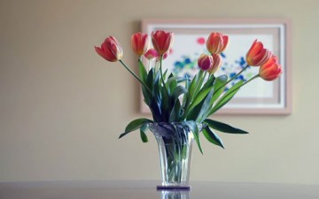 مصادر المشاعر الإيجابية