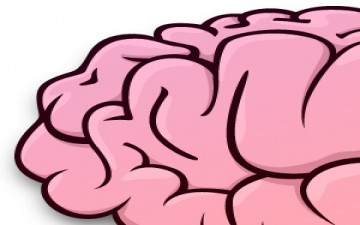 أغذية صديقة للمخ