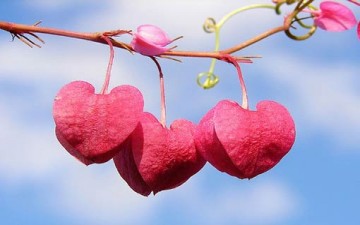 أخبرني قلبي