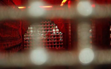 الحسين (ع).. حي في ضمير المؤمنين ووجدان البشرية