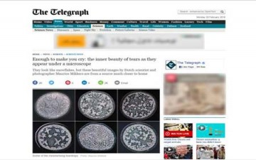 دمعة العين عالم من الجمال الخفي