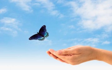 كمال النفس والحرية