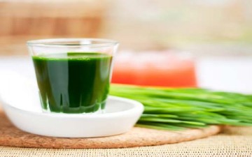 السوائل العشبية.. نبات الشمّر أنموذجاً