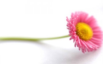 التعفف شارة الإيمان