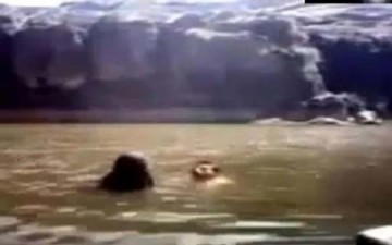 عروسان يمنيان يغرقان أمام الكاميرا في مشهد أبكى الملايين