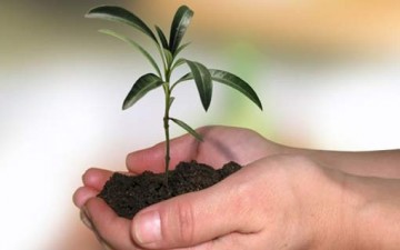 صداقة العمر كله