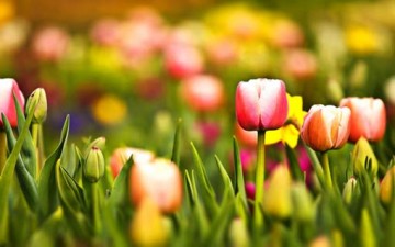 دور الأخلاق في عملية التغيير