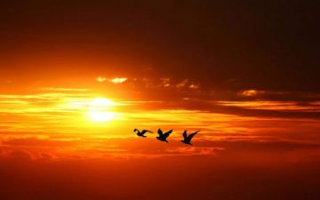 الرغبة الجنسية عند النساء