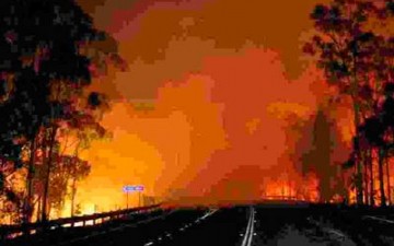 الحرارة تبلغ مستويات قياسية في أستراليا