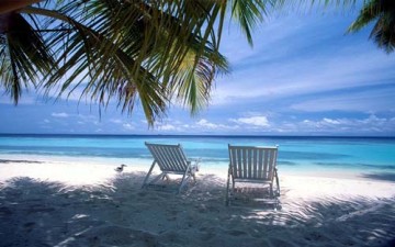 حرارة الصيف.. هل تفقد الناس أعصابهم؟