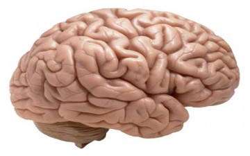 الصداع المتكرر قد يدمر خلايا المخ