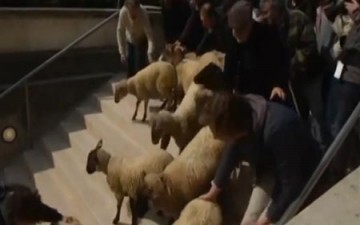 الخراف تغزو متحف اللوفر