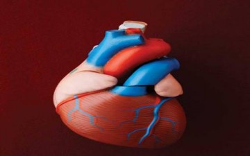 لا تدع قلبك ينفطر